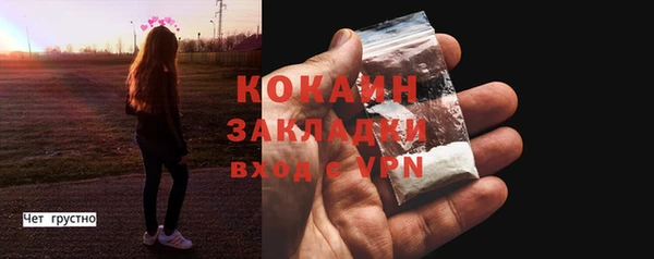 стафф Алексин
