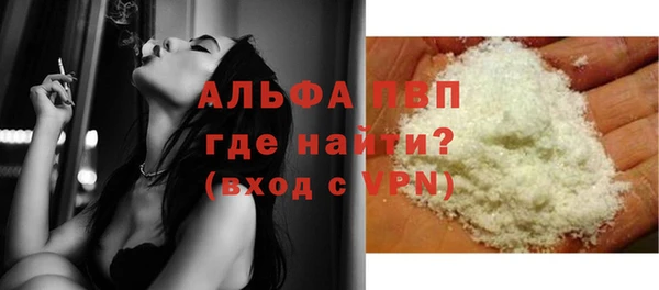 стафф Алексин