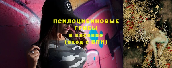 дживик Алексеевка