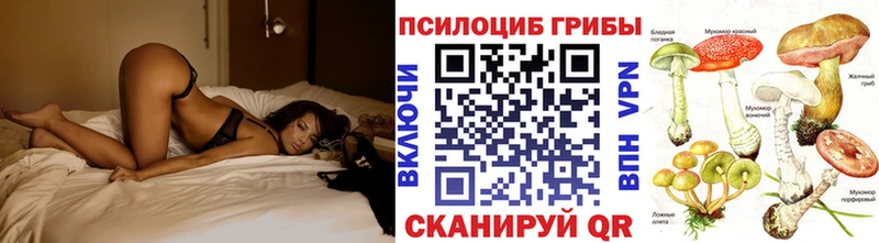 kraken онион наркота Сим Галлюциногенные грибы GOLDEN TEACHER